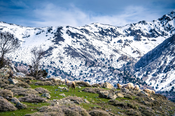 o CRETE SNOW GREECE 570